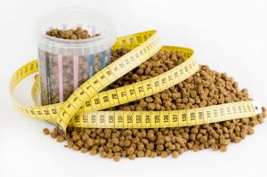 nutrition